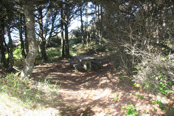 Picnic Table