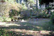 Picnic Tables