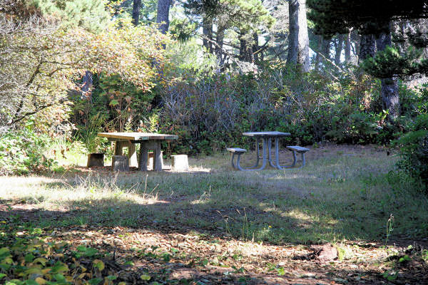 Picnic Tables at Governor Patterson Wayside 
