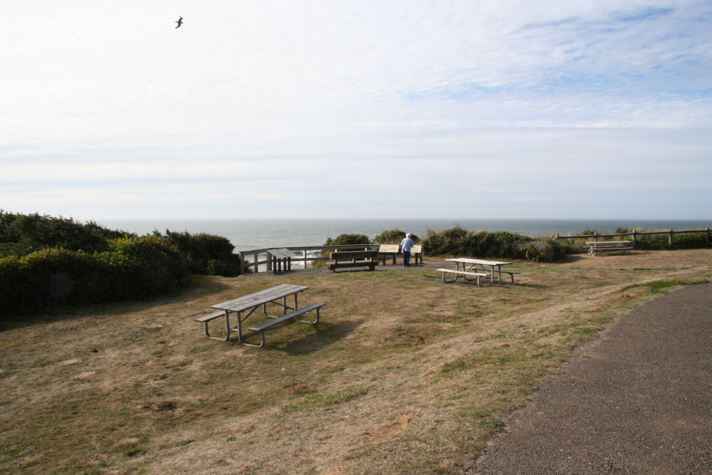 Picnic Tables