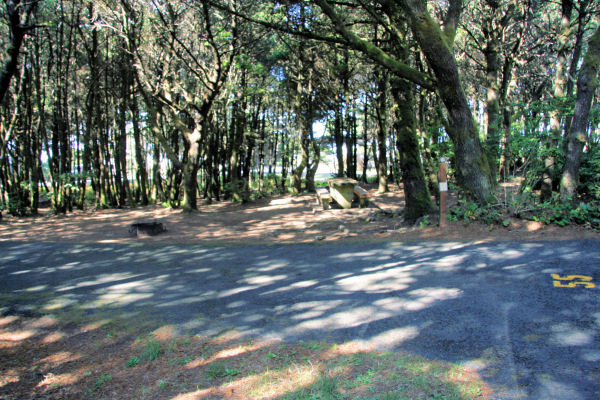 Tillicum Beach Campground Campsite 