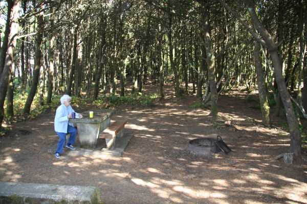 Tillicum Beach Campground Campsite 