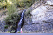 Falls