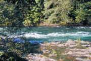 McKenzie River