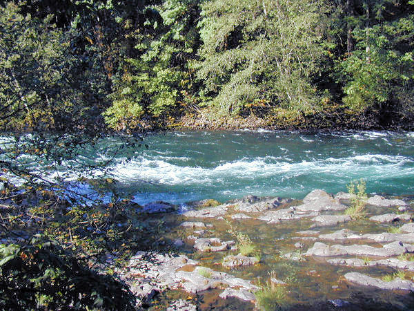 McKenzie River