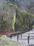 Multnomah Falls Path