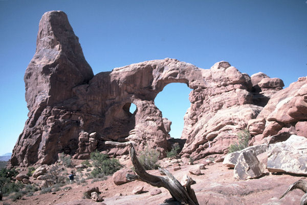 One of Many Arches