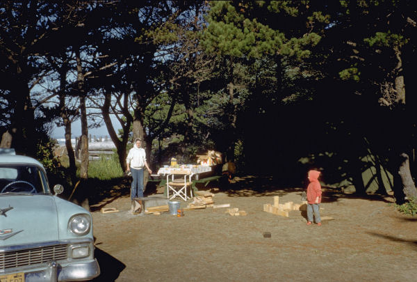 Chet Builds Fort with Firewood