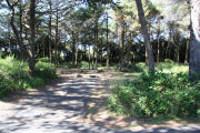 Campsite