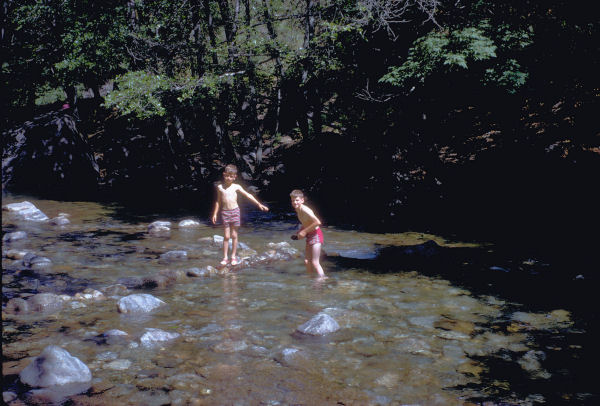 Boys Dam up the River