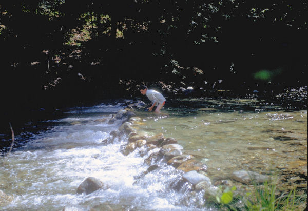 River Water Gets Higher