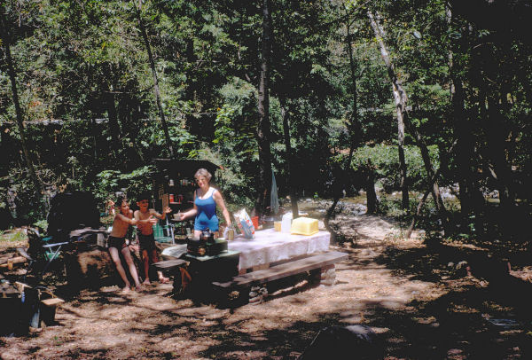 Bernice Starts Lunch