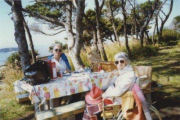 Picnic Lunch