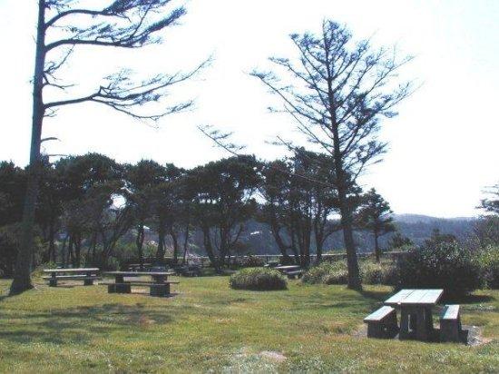 Picnic Tables