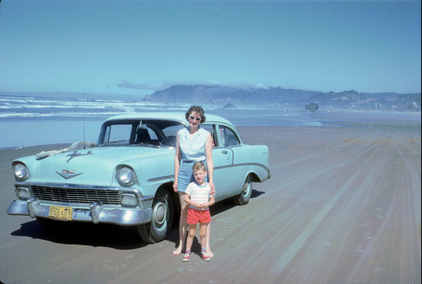 Driftwood Hunting