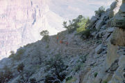 On the Trail