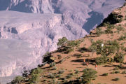 On the Trail