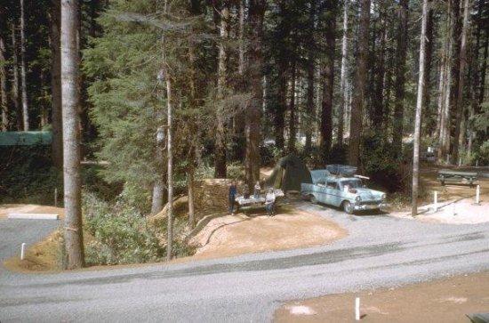 Our Camp site in Honeyman SP