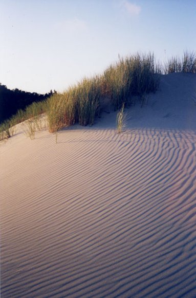 Steep Sand Slope