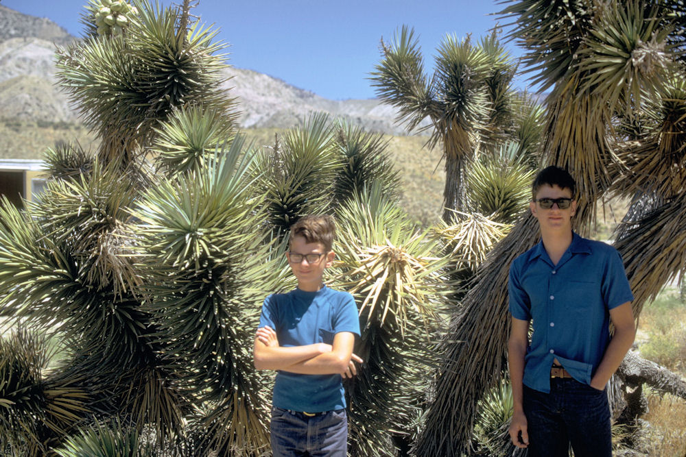 Joshua Tree National Park 