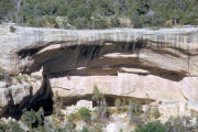 Cliff Dwellings