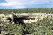 Cliff Dwellings