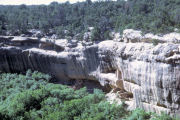 Cliff Dwellings