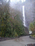 Multnomah Falls 4