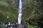 Multnomah Falls 7