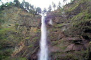 Multnomah Falls 11