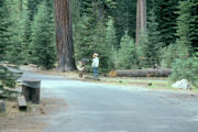 Mount Lassen NP