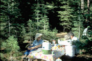 Mount Lassen NP