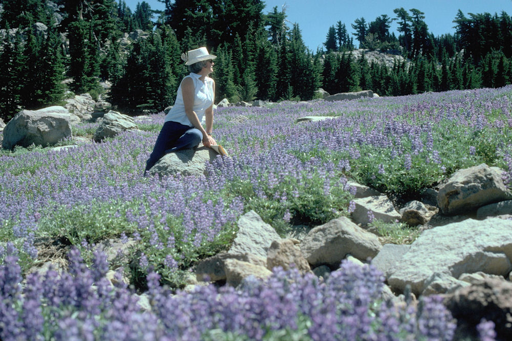 Mount Lassen NP 