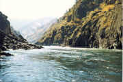 Salmon River Scene