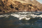 Salmon River Scene