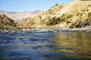 Salmon River Scene