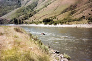 Salmon River Scene