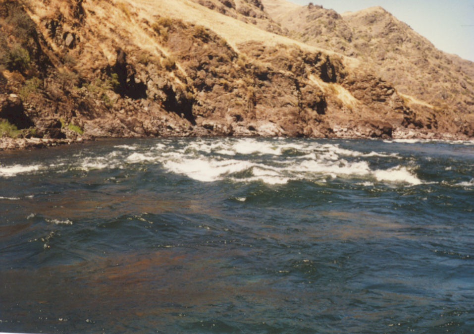 Salmon River Rafting Trip