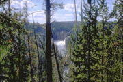 Yellowstone Canyon