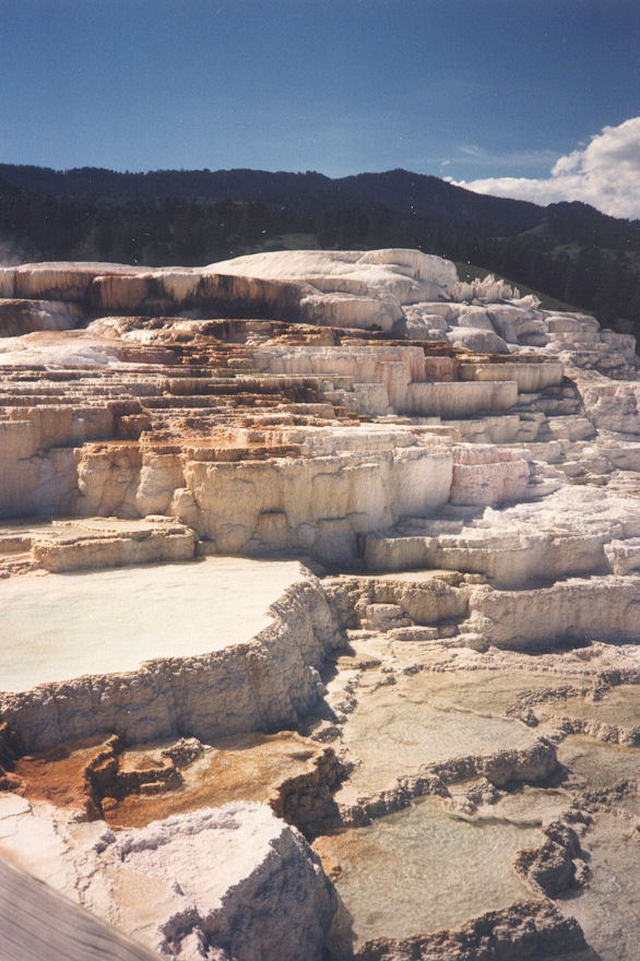 Yellowstone NP