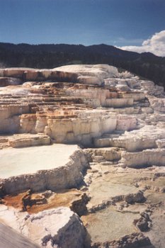 Mammoth Hot Springs