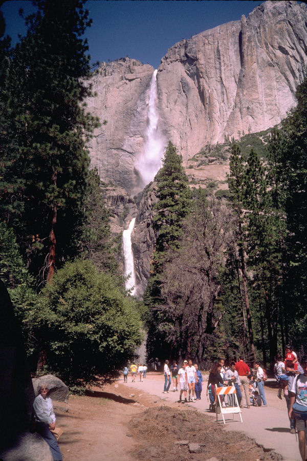 Yosemite National Park 