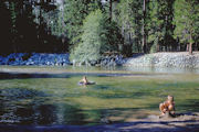 Rafting Merced River