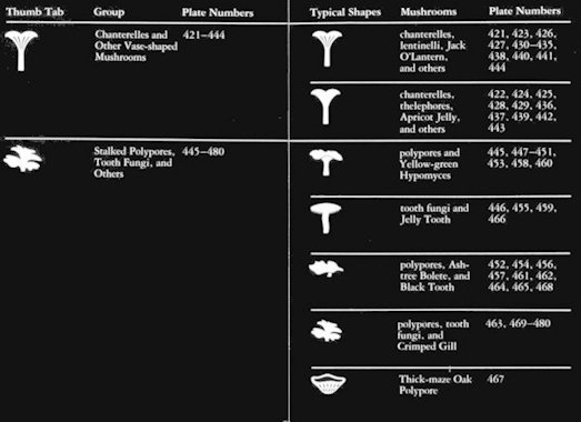 Audubon Field Guide to Mushrooms