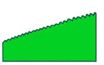 Denticulate Margin