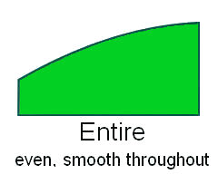  Leaf Margin 