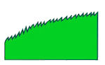 Serrulate Margin