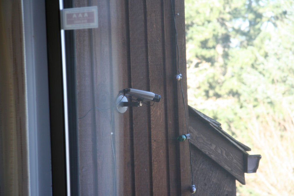 Web Camera at the Noll Home