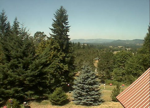 Camera View New